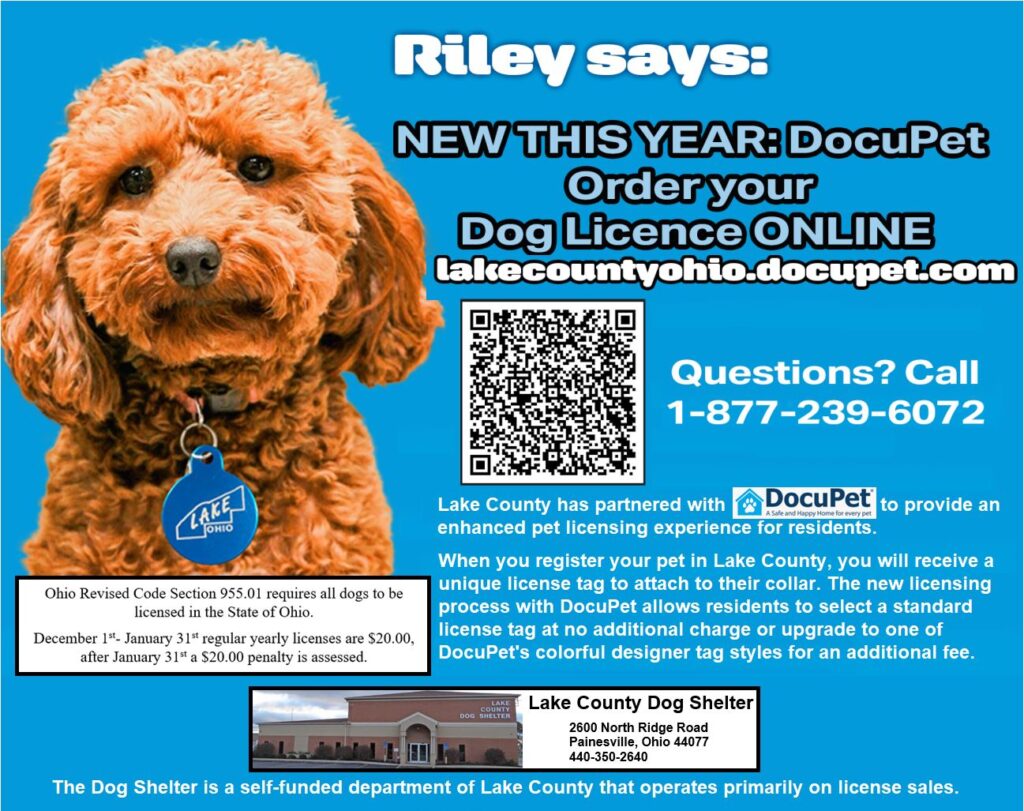 Dog License Information - Dog Shelter