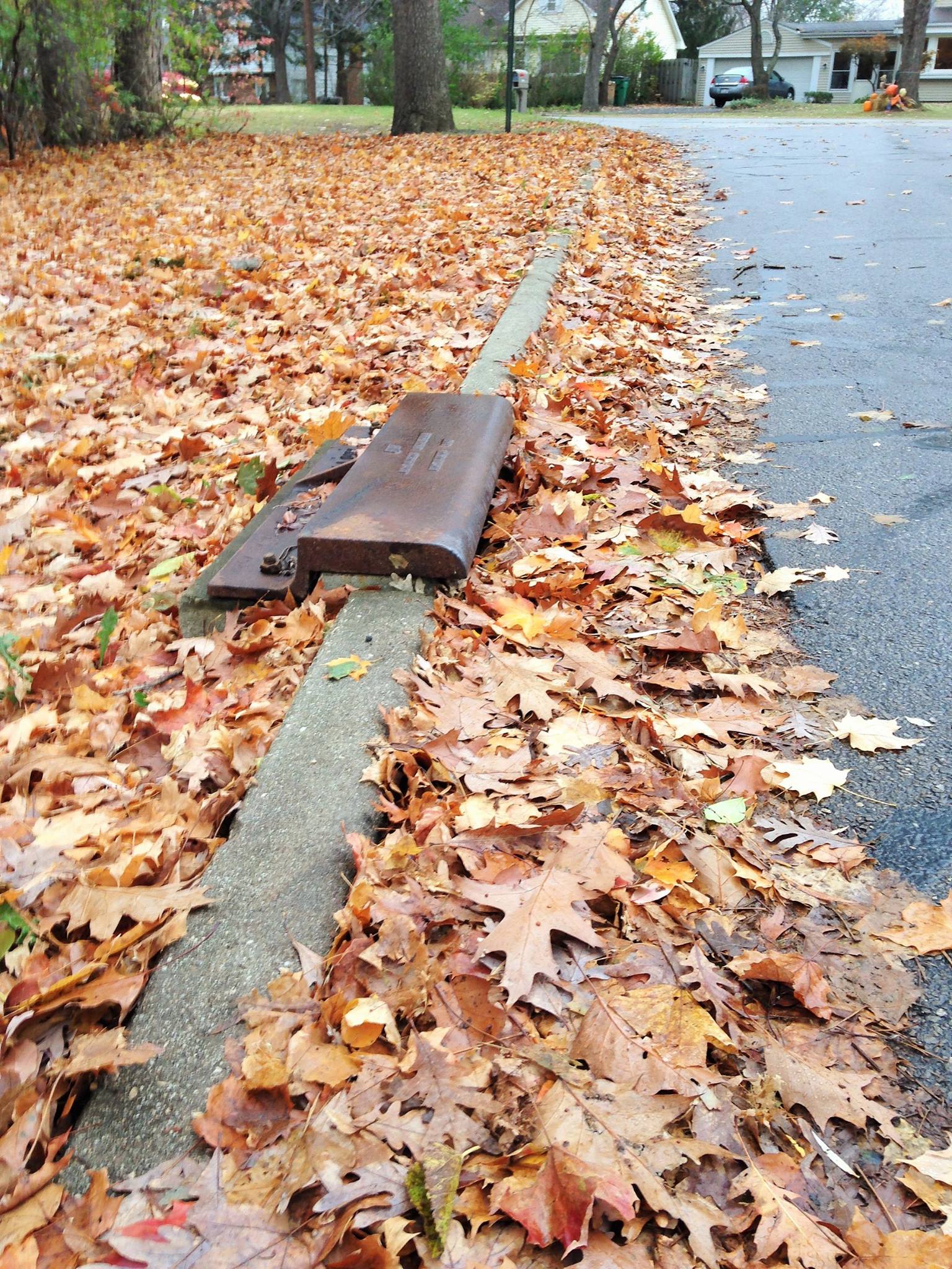 Keeping Storm Drains Clear of Leaves